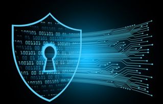 網(wǎng)絡(luò)安全在計(jì)算機(jī)學(xué)科體系中的定位